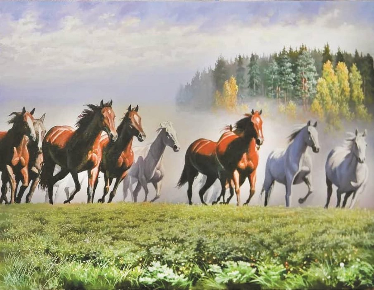 Rennende Paarden - Diamond Painting 50x40 cm | Eagle Arts™